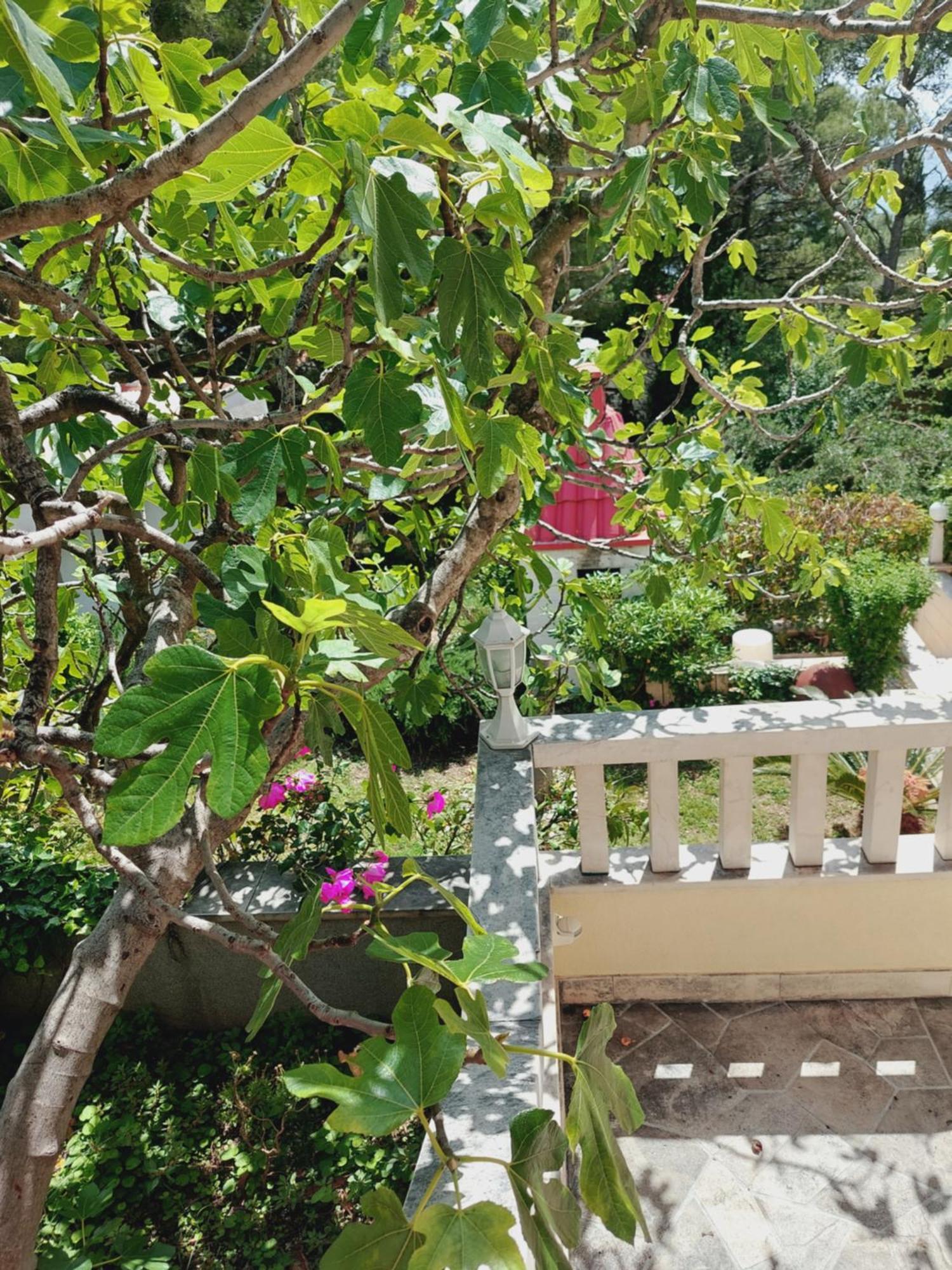 Villa Rosso Baška Voda Chambre photo
